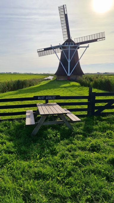 Molen
